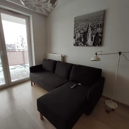 Scandinavian In Modest Area