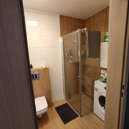 Scandinavian In Modest Area Apartment *