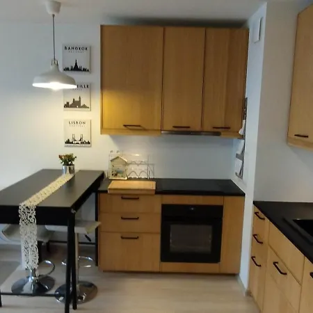 Apartment Scandinavian In Modest Area Lublin