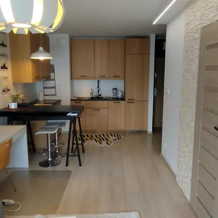 Scandinavian In Modest Area Vat Daire Lublin