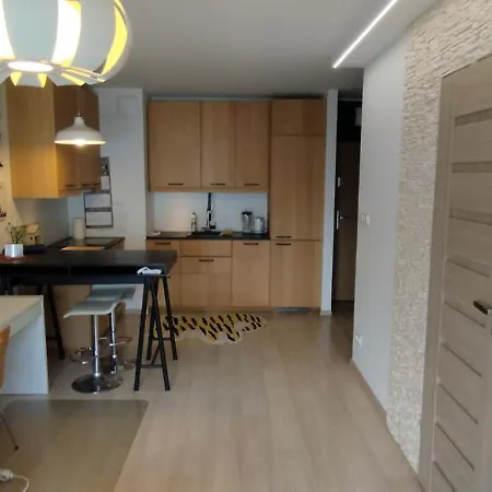 Scandinavian In Modest Area Apartment