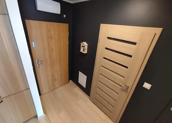 Scandinavian In Modest Area Vat 公寓 卢布林